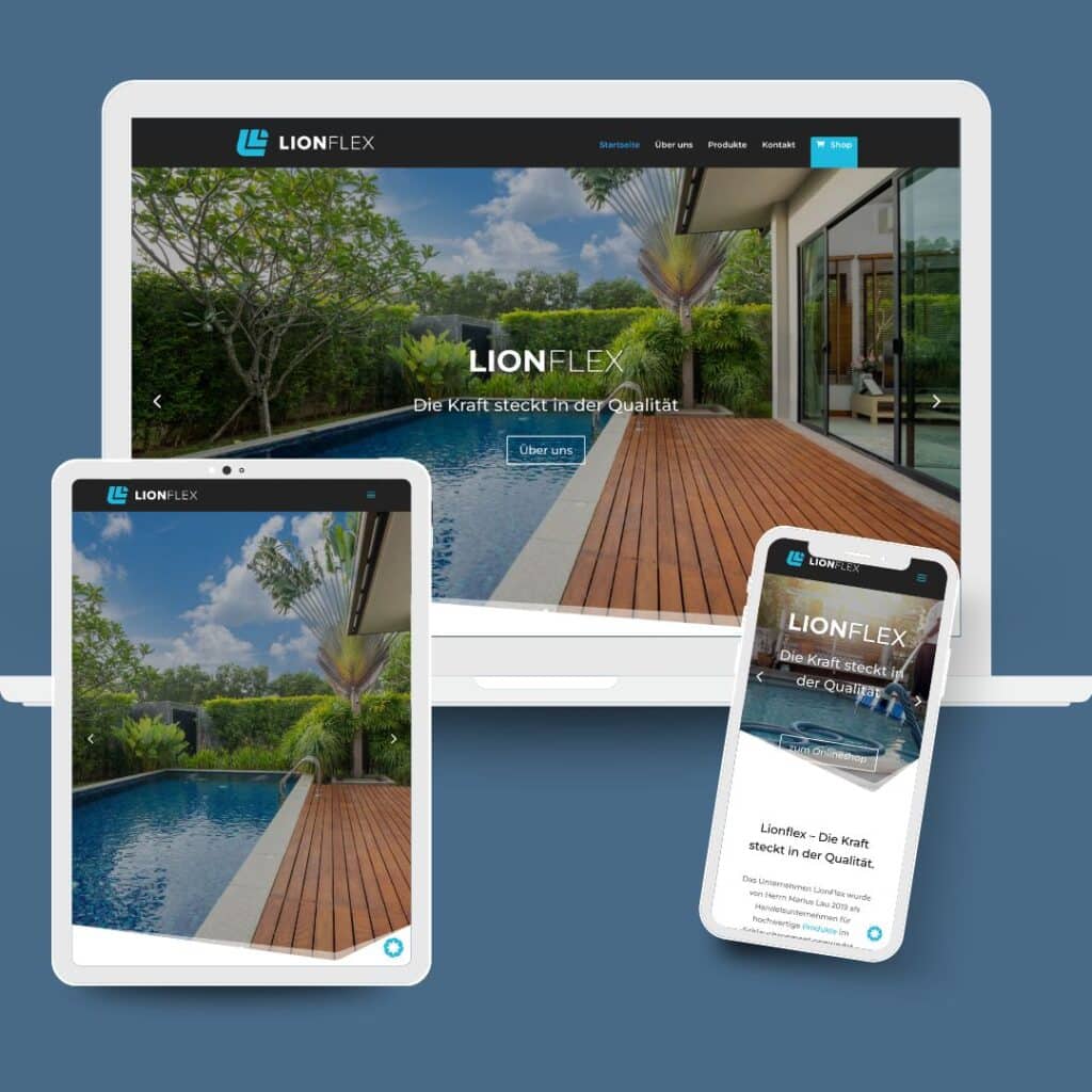 Webdesign Lionflex